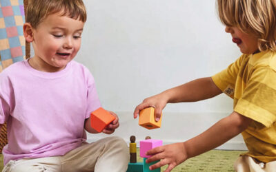 Social Play in Development